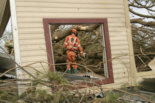 Best Tree Removal  in Hawthorne, CA