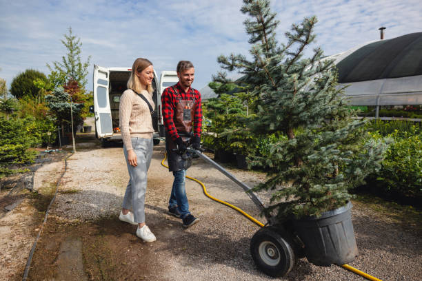 Best Tree Trimming and Pruning  in Hawthorne, CA